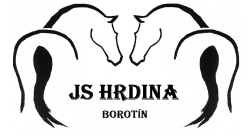 JS Hrdina Borotín